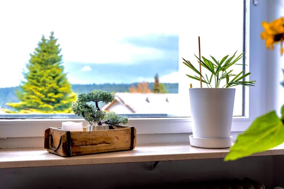 Relaxapartments Black Forest Nature Mit Beheiztem Indoor-Pool Und Sauna - Sonnenbalkon Mit Blick Ins Gruene, Schnelles Internet, Naehe Triberger Wasserfaelle, Fuer Bis Zu 2 Personen Schönwalde Екстериор снимка